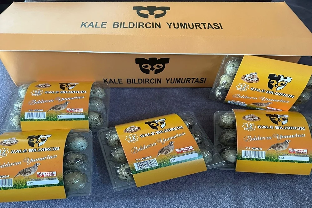 Kale Bıldırcın