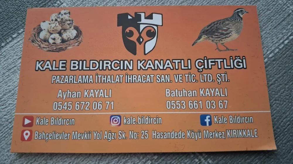 galeri_20260316_215947_287454fb3a9ad8901cc0